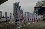 Dcim4452/DSC_5606