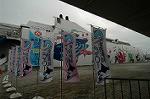 Dcim4452/DSC_5608