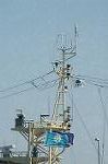 Dcim4457/DSC_5858