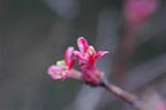 Dcim4463/DSC_6281