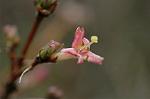 Dcim4463/DSC_6289