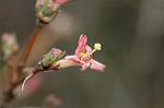 Dcim4463/DSC_6293