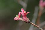 Dcim4463/DSC_6296