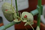 Dcim4465/DSC_6552