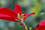 Dcim4465/DSC_6576