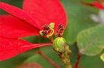 Dcim4465/DSC_6579