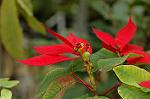 Dcim4465/DSC_6586