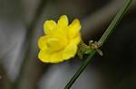 Dcim4465/DSC_6609