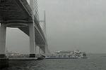 Dcim4474/DSC_2778