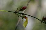 Dcim4489/DSC_0414
