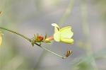 Dcim4489/DSC_0416