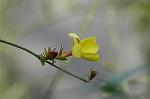 Dcim4489/DSC_0417