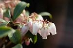 Dcim4489/DSC_0421