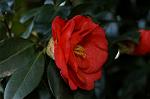Dcim4489/DSC_0495