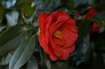 Dcim4490/DSC_0504