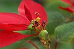 Dcim4490/DSC_0574