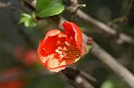 Dcim4508/DSC_2422