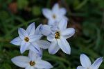 Dcim4508/DSC_2429