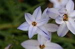 Dcim4508/DSC_2432