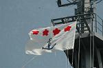 Dcim4523/DSC_7247