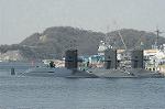 Dcim4532/DSC_0244