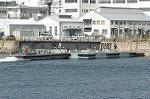 Dcim4532/DSC_0248