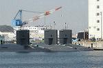 Dcim4532/DSC_0250