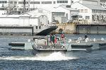 Dcim4532/DSC_0253