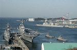 Dcim4533/DSC_0436