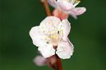 Dcim4539/DSC_7986