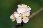 Dcim4539/DSC_7988