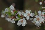 Dcim4539/DSC_8024