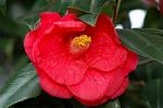 Dcim4540/DSC_8047