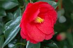Dcim4540/DSC_8050