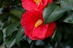 Dcim4540/DSC_8054