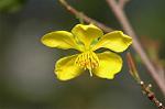 Dcim4540/DSC_8109