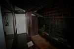 Dcim4553/DSC_9530