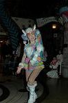 Dcim4562/DSC_0626