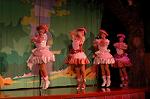 Dcim4564/DSC_0923