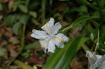 Dcim4573/DSC_1766