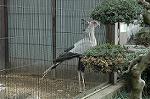 Dcim4577/DSC_2263