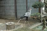 Dcim4577/DSC_2266