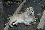 Dcim4583/DSC_1185