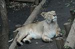 Dcim4583/DSC_1186