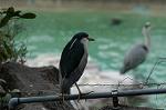 Dcim4584/DSC_1270