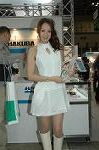 Dcim4588/DSC_3000