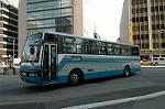 Dcim4596/DSC_3517