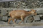 Dcim4618/DSC_5319