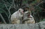 Dcim4619/DSC_5388