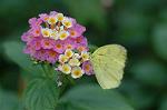 Dcim4620/DSC_5542